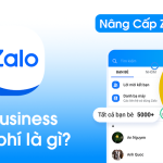 Zalo Business miễn phí là gì? Tại Sao Nên Nâng Cấp Zalo Business Pro 1.990k?